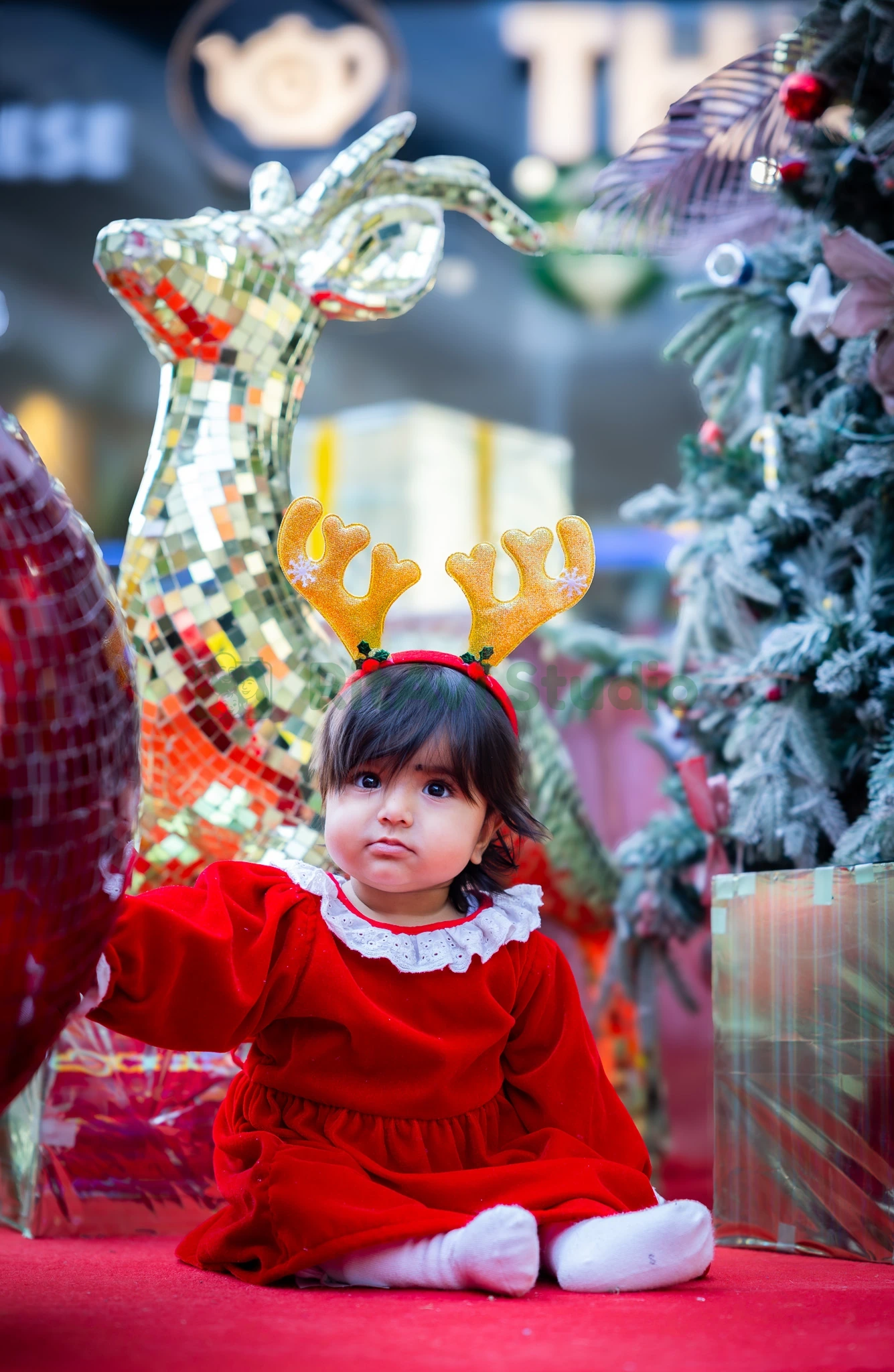 Luxury Photography Gurgaon - Family Harmony by RitAvi.Studio